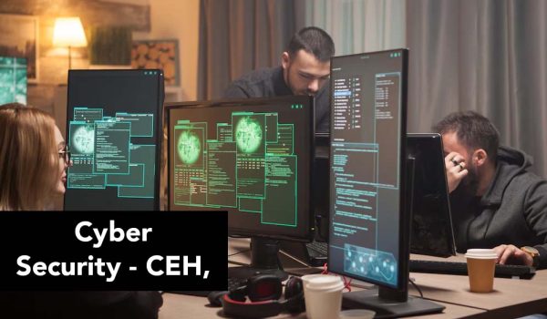 Cyber Security - CEH,